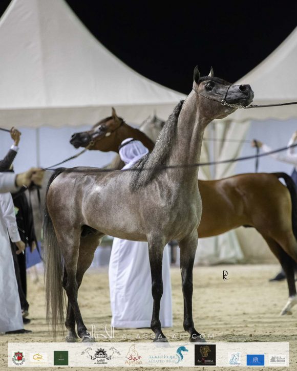 Photo 14-11-2020, 12 40 39 PM