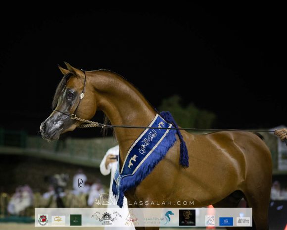 Photo 14-11-2020, 12 53 51 PM