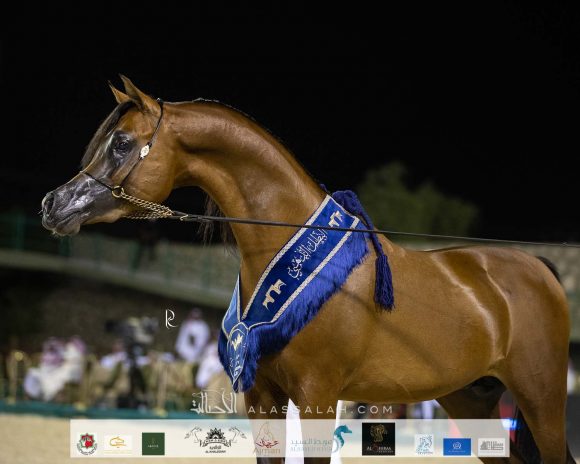 Photo 14-11-2020, 12 53 54 PM