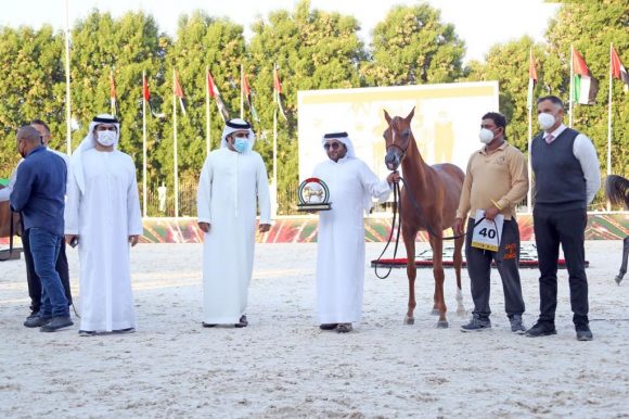 ae4ffa74-c862-4a4f-852c-09b56a5dad11