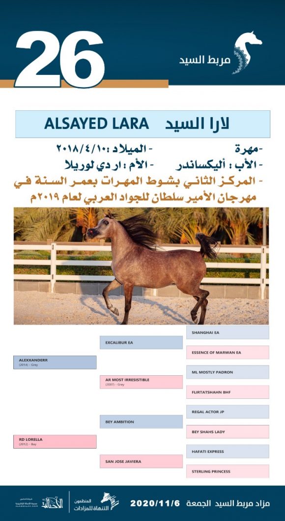 af269f2d-e355-4738-8e61-0ea673b61624