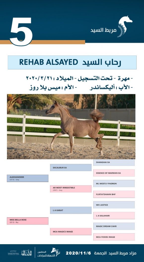 afd2ec07-f95a-4c19-8ce5-352e735f02d0