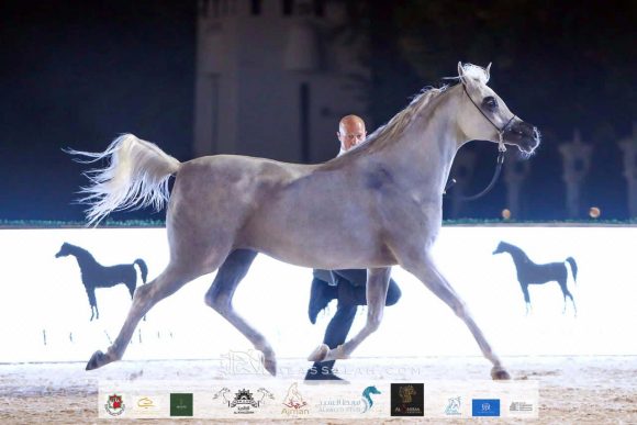 b3d89175-e75a-4d79-9f65-c1da58427506