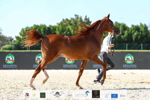 b9068a39-935d-4bc7-a66c-b34ad337b325-2