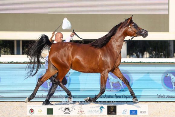 bdd04619-0a47-474b-96ee-025bc4664e92