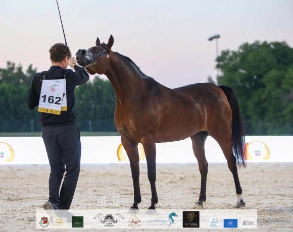 bfe9ae14-cd9a-4215-947e-ff97ad9b67e3