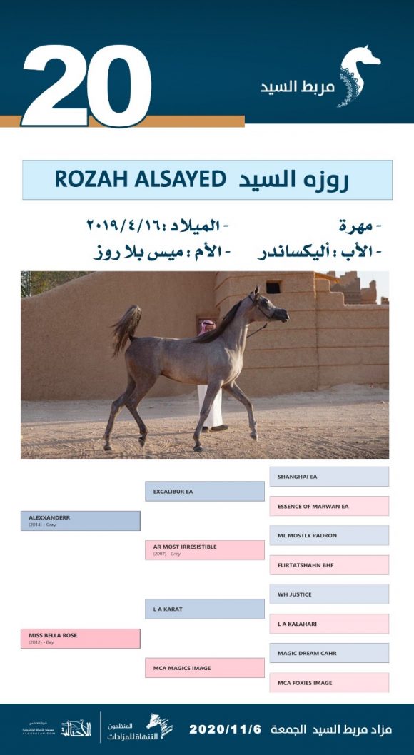 c2096681-03fe-43c2-9558-ccca8ee82d9e