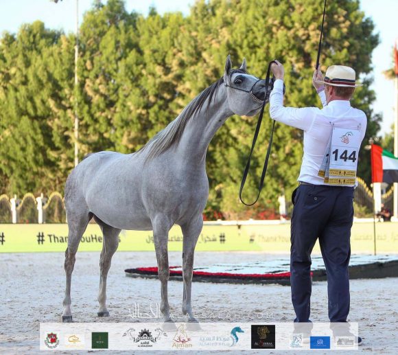 ca62d2d9-be8a-4654-936b-371f5aac87db