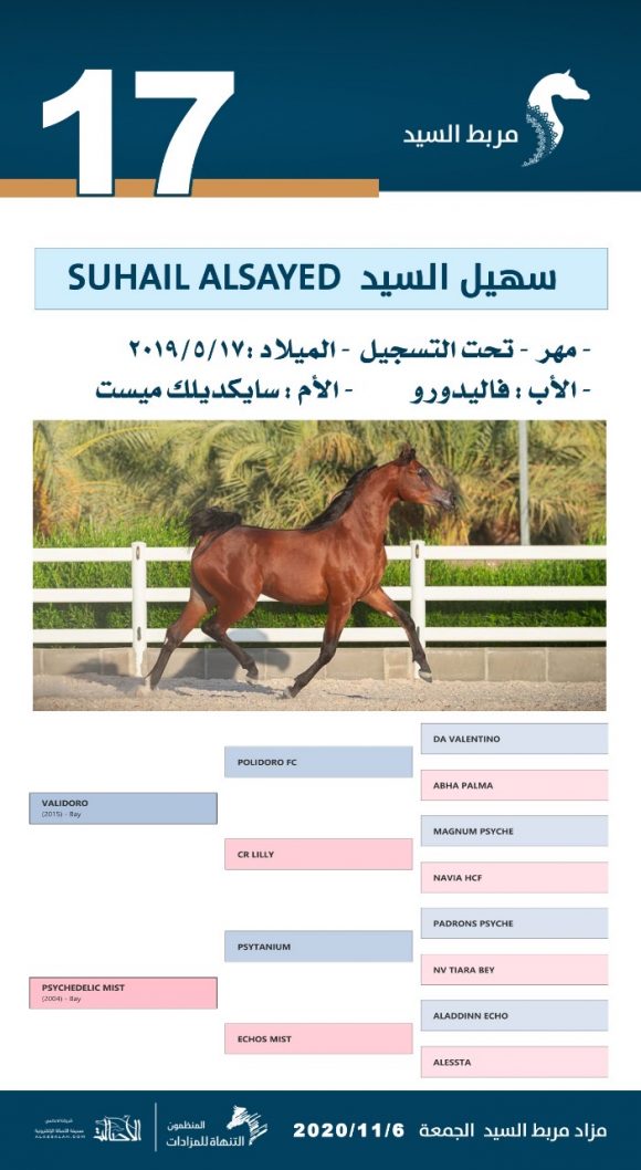 cc173f0b-b728-429b-b3f1-38223422fee0