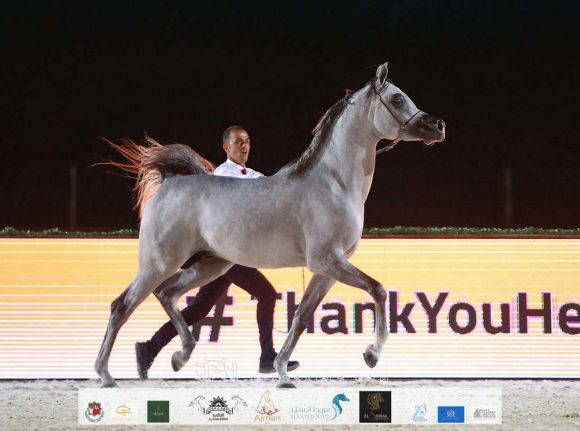 cc300d72-d33e-4814-a0fb-23462c8671b2-2