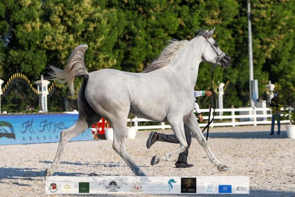 d161e07f-083b-4cfb-9652-44099762ffb4