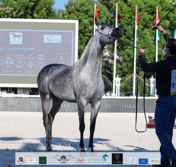 d2ad83d1-6ba1-4d24-92f7-a154b1a7b42a