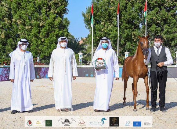 d6ac4781-ecfb-46a0-b8dd-f9fef2269ecc-2