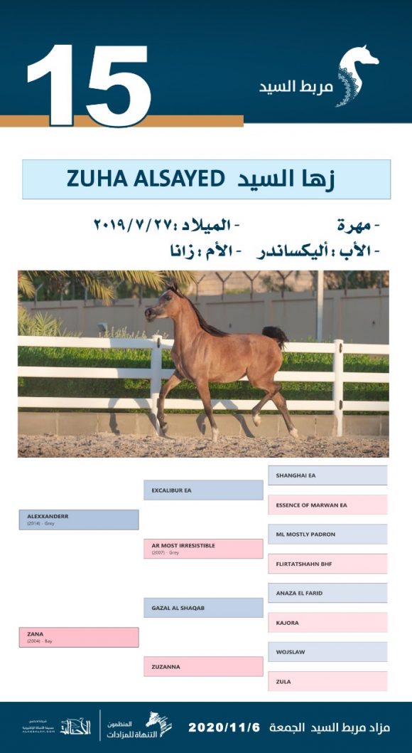 d8437c85-391e-4a20-9950-61c3c20c7348