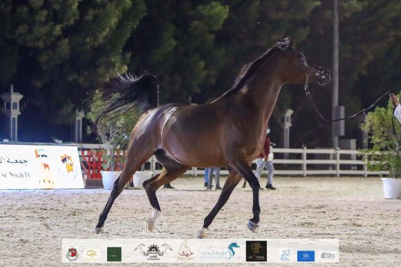 d90d8285-faad-4df3-bbbf-45e9cef46973