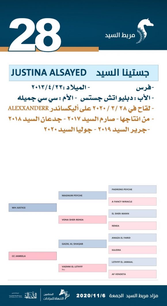 d95e2513-1f56-409d-8b18-9c9140b195c7