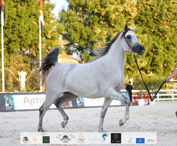 ddbe5531-c755-4ee2-a06d-0790eb61c2d1