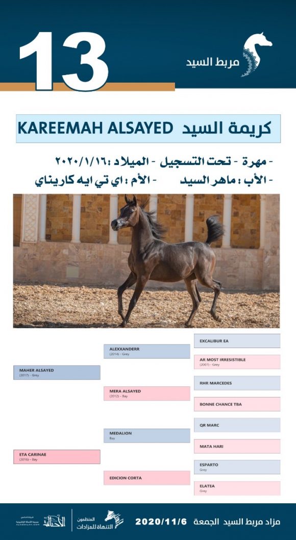 deb8f947-6d9b-47e4-920c-75db88687ab6