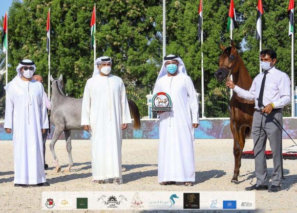 e068e876-7ce0-4d85-8614-48f862d0da72-2