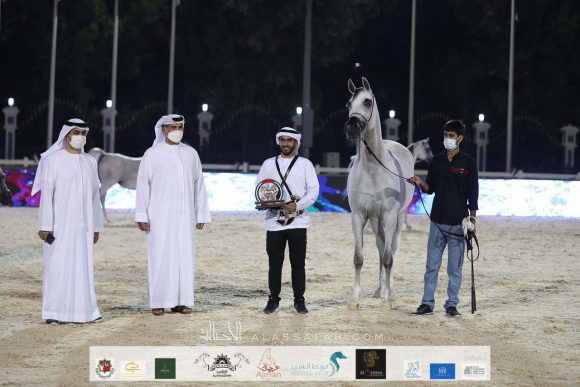 e09de59c-b8d9-4079-8923-55004e65f0b8-2