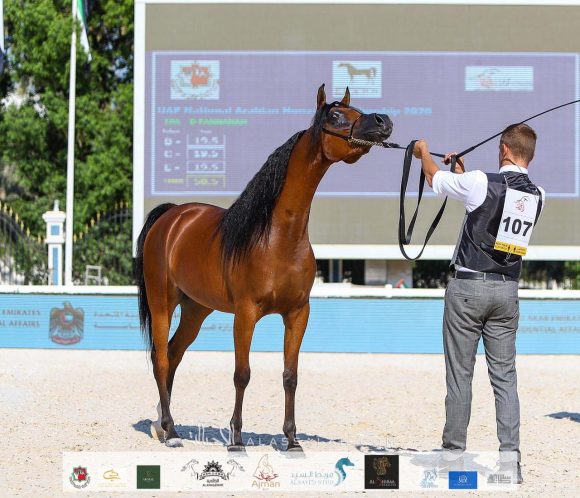 e13398e9-3d0c-4a43-9377-08dbb9df6585