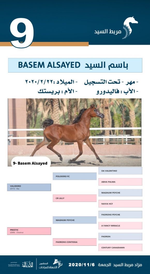 e7d65dd2-eb49-4362-a5c3-c701b66a37f9