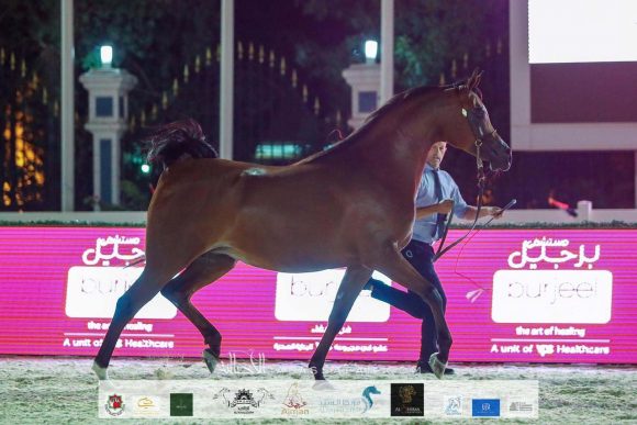 e7f01c3c-d798-4915-9cc6-9e04e5c241ef