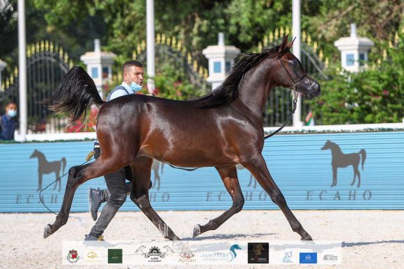 ecbd0113-438a-45cf-af41-3d0434aa671e-2