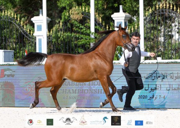 ed0859d4-fb83-4c5b-9eed-4b03a41bc2a5-2