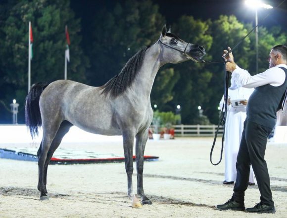 f1e70d58-d292-4a84-badf-61748df895f0