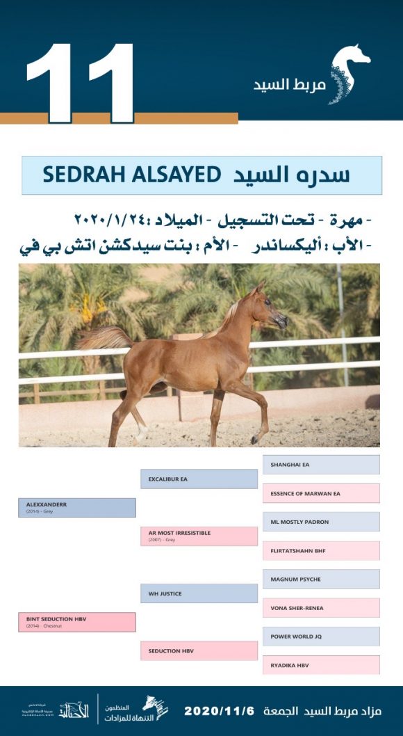 f490d6ed-cde5-45b1-89ab-16363255a718