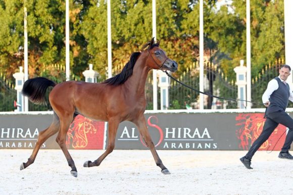 f8dfc424-67b3-4355-8274-1eef569b93e3