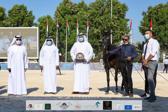 fa2409dc-fcdd-4d6c-b343-f879f1dd4556