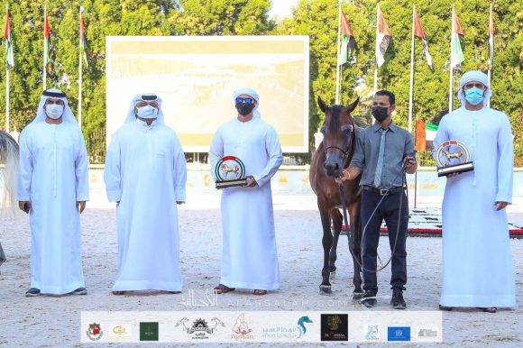 fb0a853d-3e84-431c-bfcf-8104e4d5c018