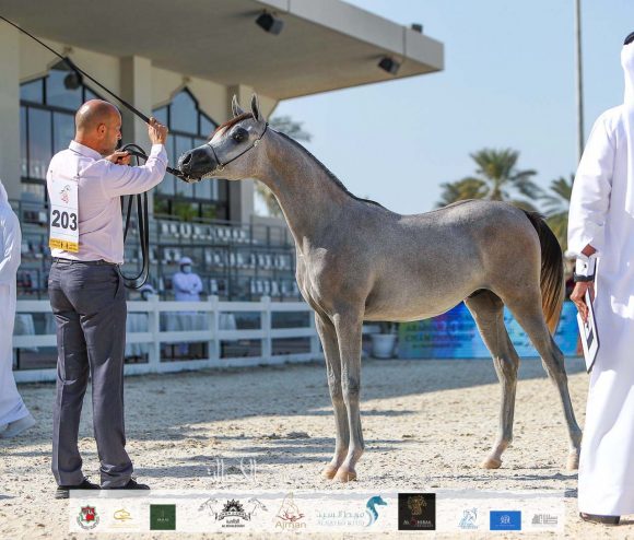 ff5db99d-393b-42c2-bd76-4f1a32750048-2