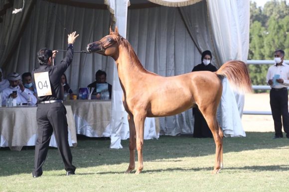 03964113-e79e-4ad8-b863-5a2e3add344b