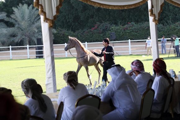 2c36e8a6-df0e-4713-bc79-e4498f861193-1