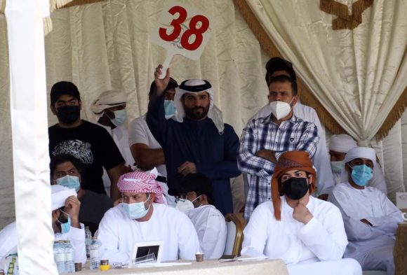 3634029a-3772-4fbc-8ec1-30816b74c365