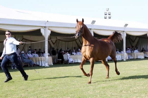 61f98e78-f365-4ca5-8cb1-f8faeead43ed