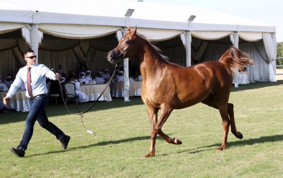 ab9e2cb1-c5ce-44e9-9bad-ea0c88cd6a1d