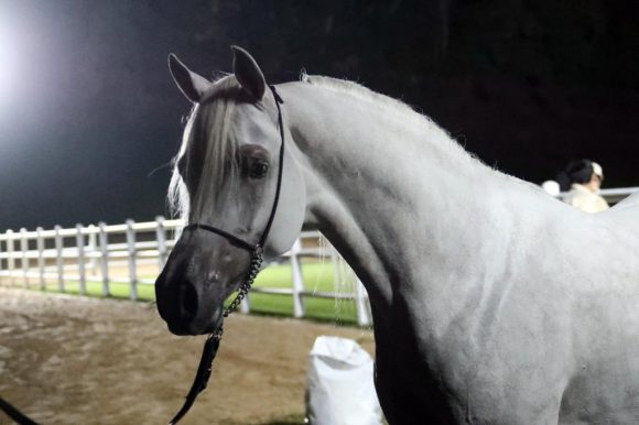 b6b1fb0e-fab4-42b7-b91a-085d4657dd77