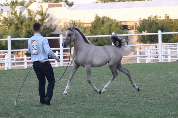 cc65acbb-4bbe-4462-8c63-4a7c767bcf52