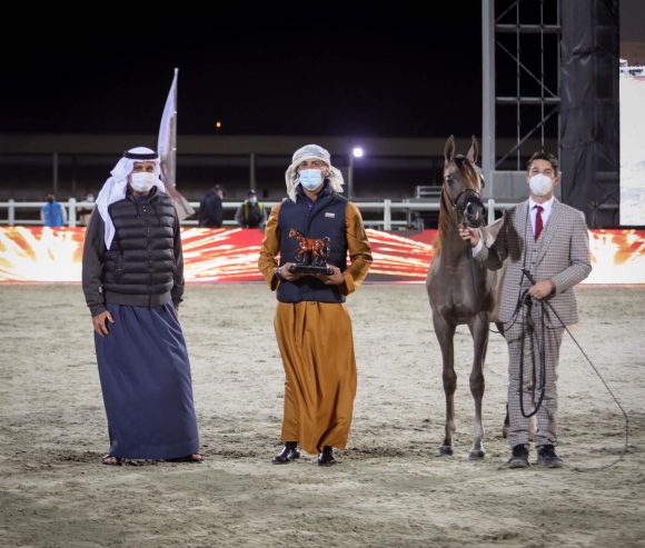 10e8a739-acfc-4879-9193-450640818321