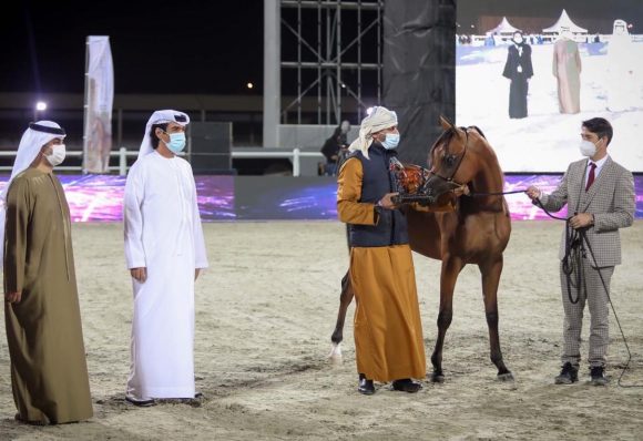 18e94a02-2ba9-4e1f-b420-c7e21e848e86