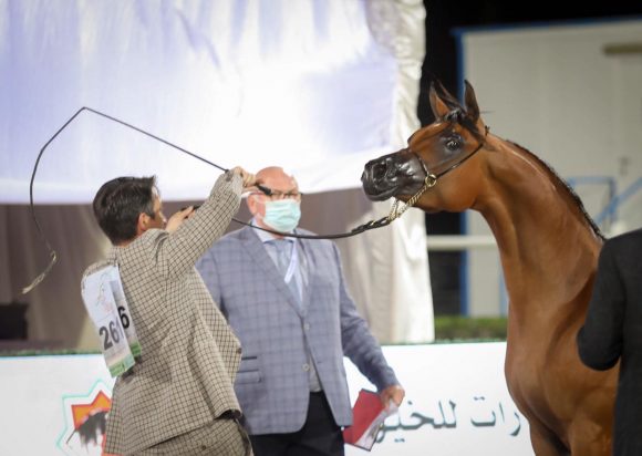 26bb3663-c21f-49fe-bb74-523eed51fff2