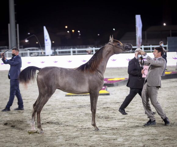 3425d600-3db3-4c7d-8ec9-b374b134a6af