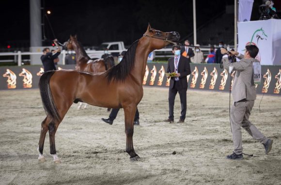 62a45ca8-08f9-4d3e-a820-a13e4d582b19