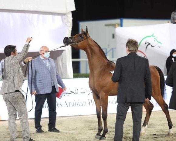 94a8cb91-004a-4cdf-9f56-9fa06fc9cc03