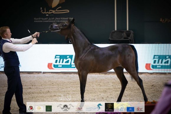 ورد المعود (اس ام ايه ماجيك وان x سندريلا المعود) مربط الدرعية