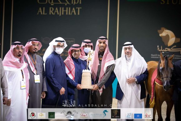 دمشق السيد (فاليدورو x ديلايتس دياف ار بي) مربط السيد